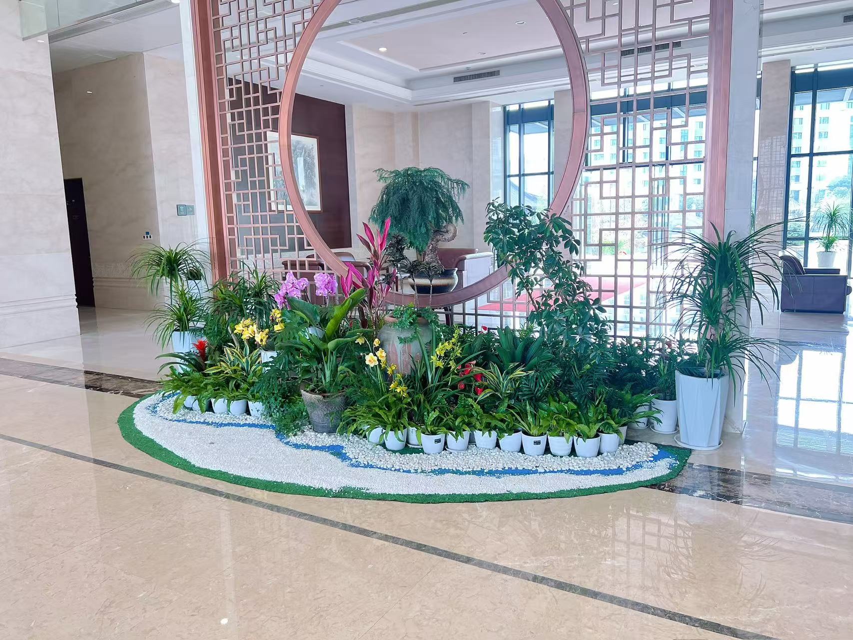 宁波慈溪植物租摆价格实惠